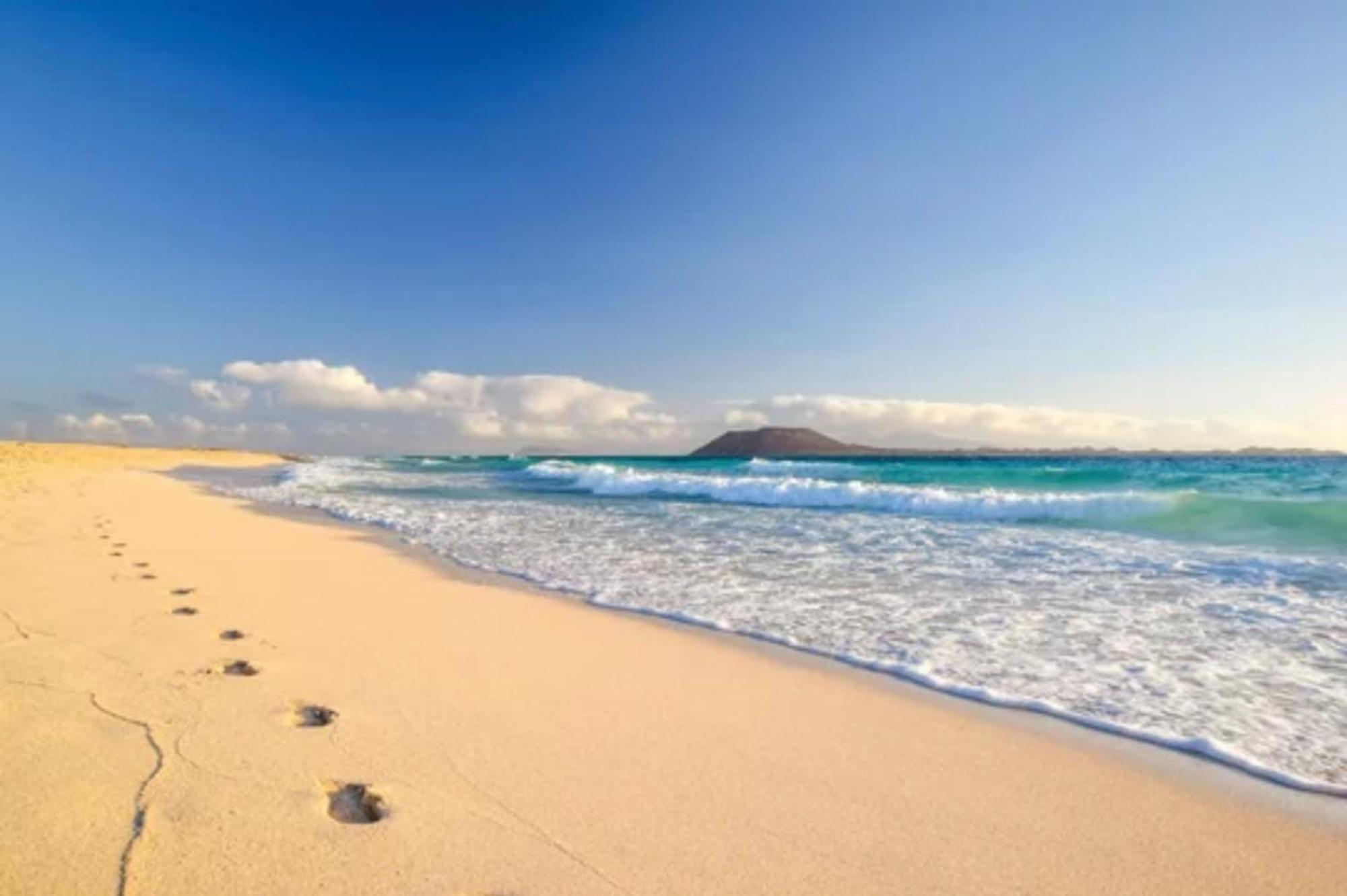 Апартаменты Tamarindo Pura Vida - Relax Y Vistas Al Mar Коральео Экстерьер фото